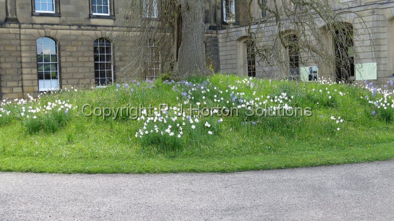 Chatsworth - Courtyard - 1